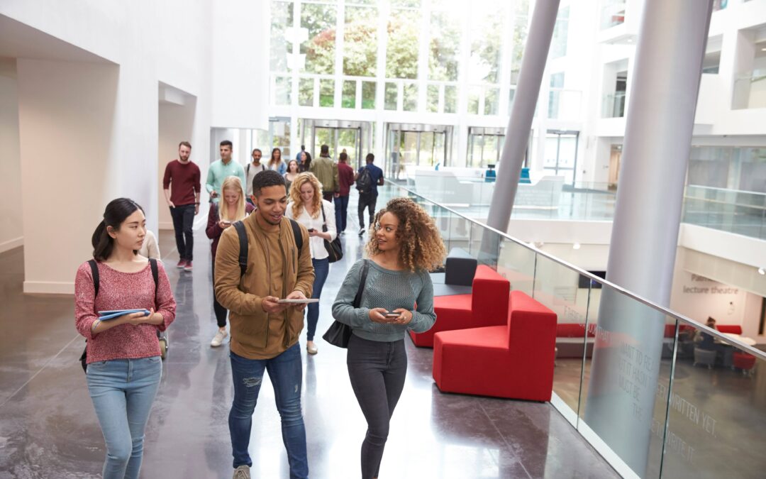 Navigating Student Loans: Repayment Options Explained