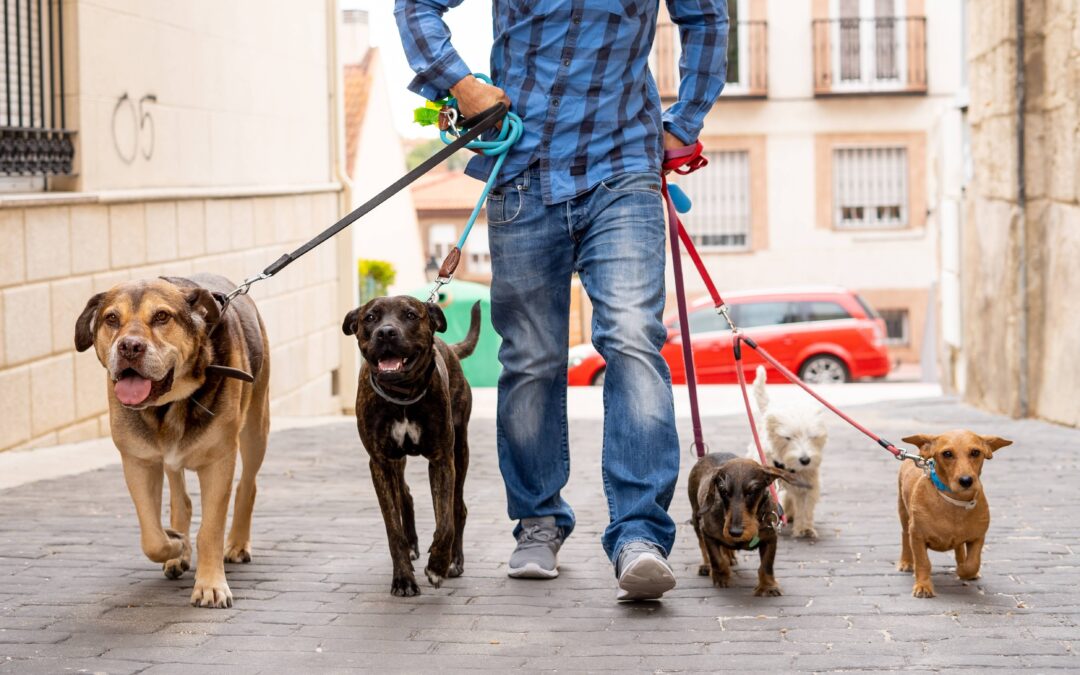 Side Hustles For Everyone